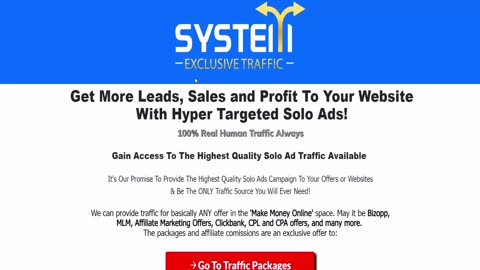 System Exclusive Traffic Review: Gain 100% Organic Buyer Traffic