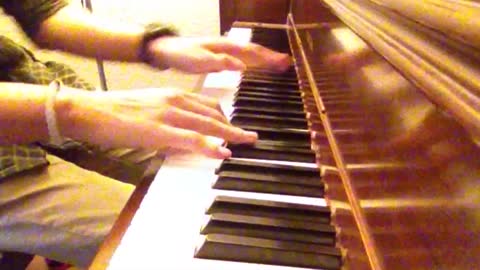 Itty Bitty Spider Scares Piano Player Out Of His Seat