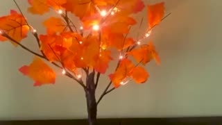LED Autumn/Fall Maple Tree www.thefamilyshopusa.com