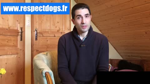 Comment Rendre Votre Chiot Propre FACILEMENT ! Tout ce que vous devez savoir !