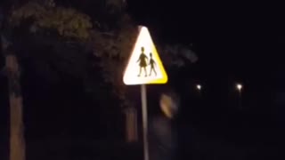 Guy runs and hits head on yellow crossing sign
