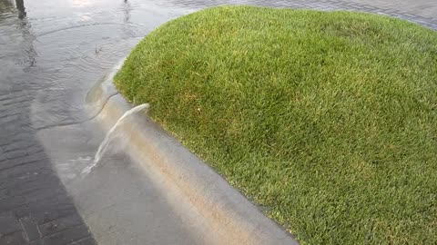 Accumulated Water Creates A Waterbed Made Of Turf