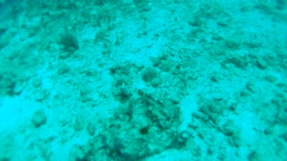 Cancun Mexico Carribean Scuba Diving Part 4