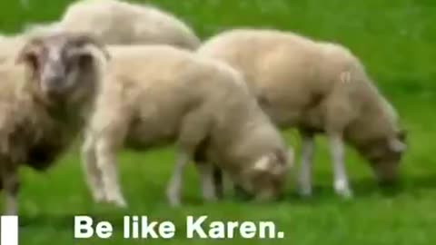 World Genocide Forum | This is Karen