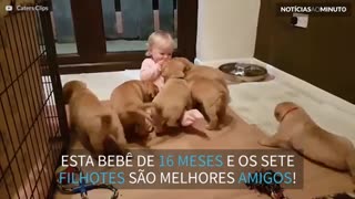 Bebê desaparece em montanha de filhotes