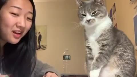 Girl's cat smacks her in the face when she tried to talk to him.