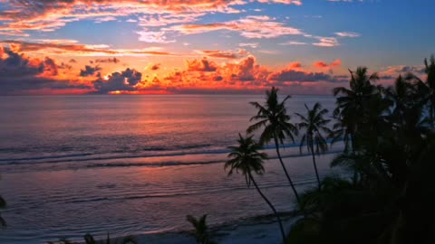 Fiji 4K Video - Beautiful Nature Scenery with Relaxing Music | 4K VIDEO ULTRA HD