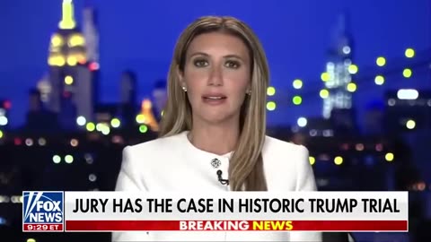 Alina Habba_ Hillary Clinton should be sitting on trial, not Trump Fox News