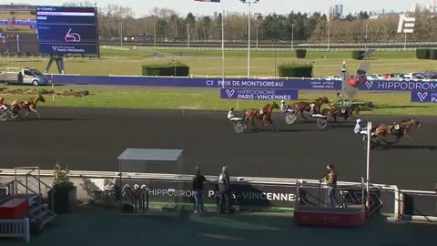 QUINTE+ Domingo d'Ela - Prix de Montsoreau - Vincennes - 06.03.21