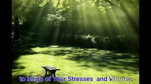 Best Stress Managment | Ways to relieve stress| Amazing Story.