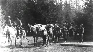 Visit Longmire - Gateway to Mount Rainier