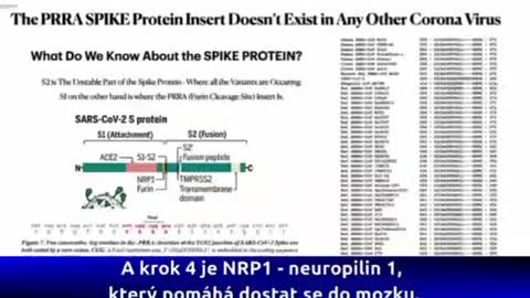 Dr Richard Fleming shows the HIV inserts in the Spiked Proteins