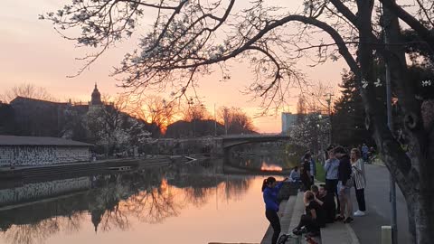 Young people in Timisoara defying the lockdown