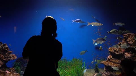 Woman silhouette on the backdrop of a large aquarium