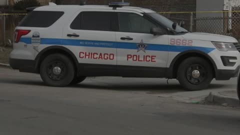 Chicago concealed carry holder returns gunfire on carjacking suspect, wounding offender: police