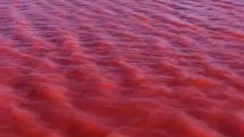 October 6th 2023 And the Nile River turns blood red