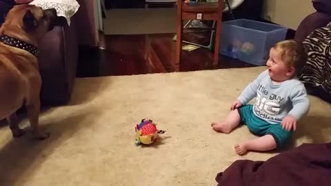 Baby laughing at dog & bubbles