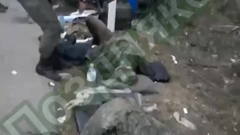 +18 Disturbing Video showing dead and wounded