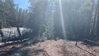 Forest Hiking Alongside Beautiful Metolius River – Central Oregon