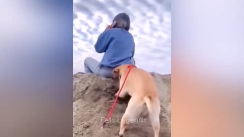 Funny video by animal 🤣🤣🤣