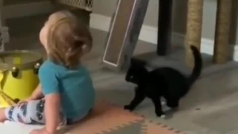 Funny cat play with kid