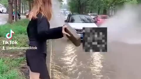 Tik tok video