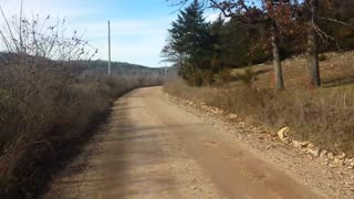 Goats Join Man for a Run