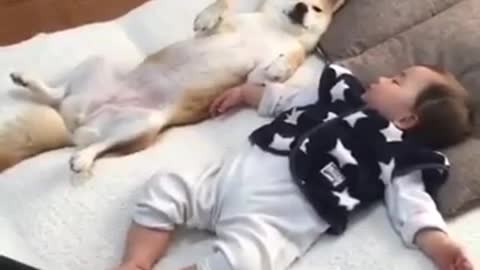 Lindo bebé duerme con perro