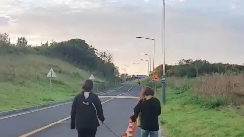 walking with dog