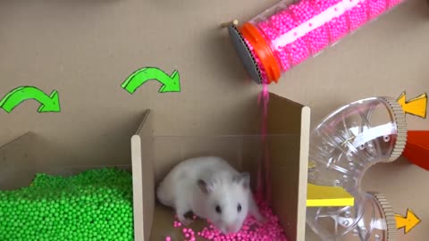 Hamster Ball pool Maze