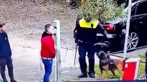 police dogs in Australia are trying to protect people