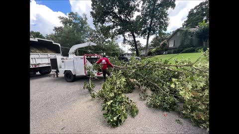 Ezzy Tree Service - (205) 354-4867