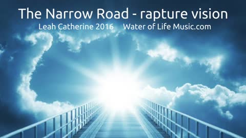 Rapture Vision - the Narrow Road