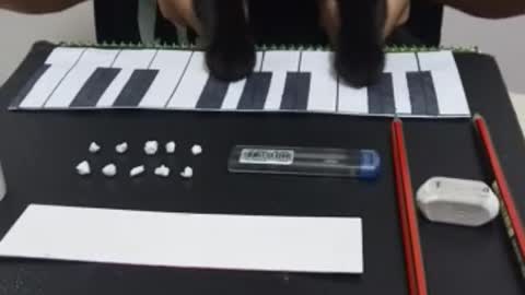 Guy plays piano with his cat