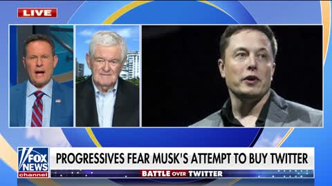 Elon Musk represents a 'danger' to the left: Newt Gingrich