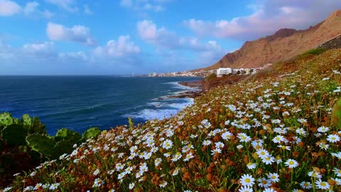 Ocean and Beautiful Flower