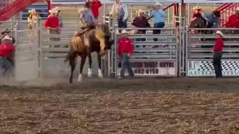 Last Chance Stampede & Fair This Video is focused on the Rodeo. #whyhelenamt