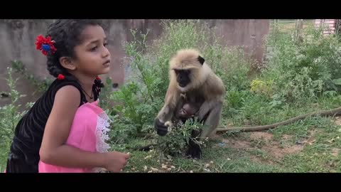 The monkey and his baby and man are friends Part-1
