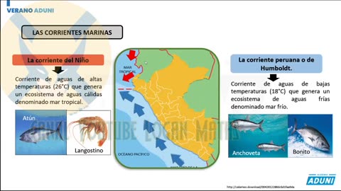 VERANO ADUNI 2022 | Semana 07 | Geografía