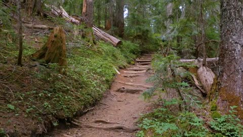 Mount Rainier National Park - Nature Relax Video, Summer Scenery