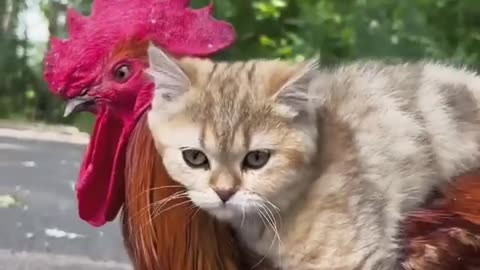 Cute baby animals Videos Compilation cute moment of the animals - Cutest Animals On Earth