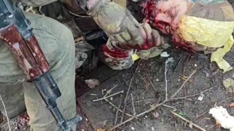The bodies of militants of the Kyiv regime