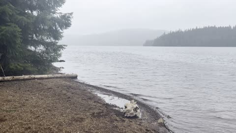 Ethereal & Mystical Timothy Lake – Mount Hood – Oregon – 4K