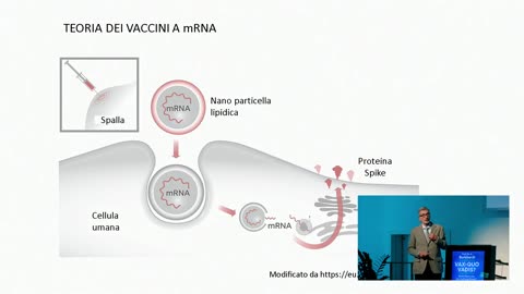 🔴 VAX - QUO VADIS - Capire meglio la proteina spike (Prof. Dr. Paolo Bellavite)