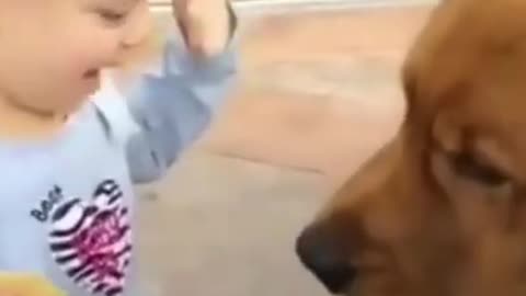 Cute little girl high fives dog