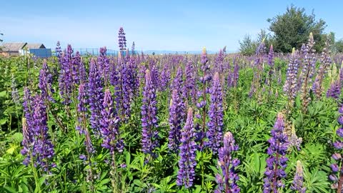 Garry Point Park