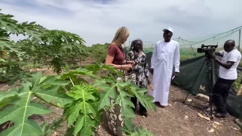 Máxima krijgt cadeaus op boerderij even buiten Dakar
