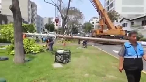 'A TREE' ! MASSIVE 5G/EMF TOWER/WEAPON (DISGUISED) TAKEN DOWN IN PERU ( HALLELUJAH ! )