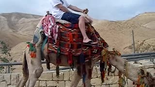 Camel ride - Israel