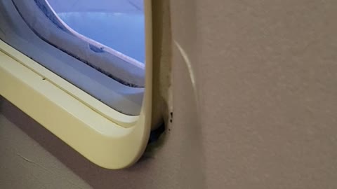 Plane Passenger Is Concerned After Noticing The Window Is Off Frame